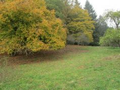 k800_img_0905