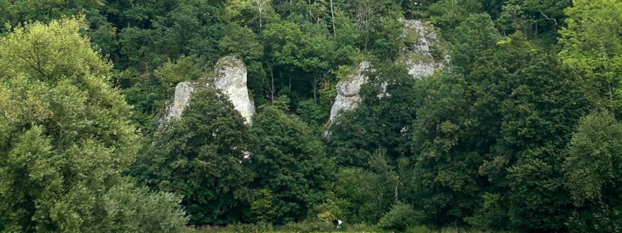 Schwäbischer Albverein | Ortsgruppe Bernstadt
