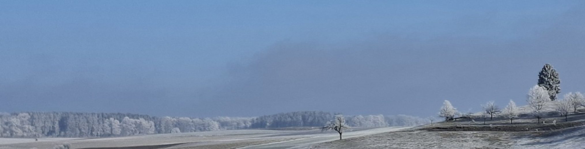 Schwäbischer Albverein | Ortsgruppe Bernstadt