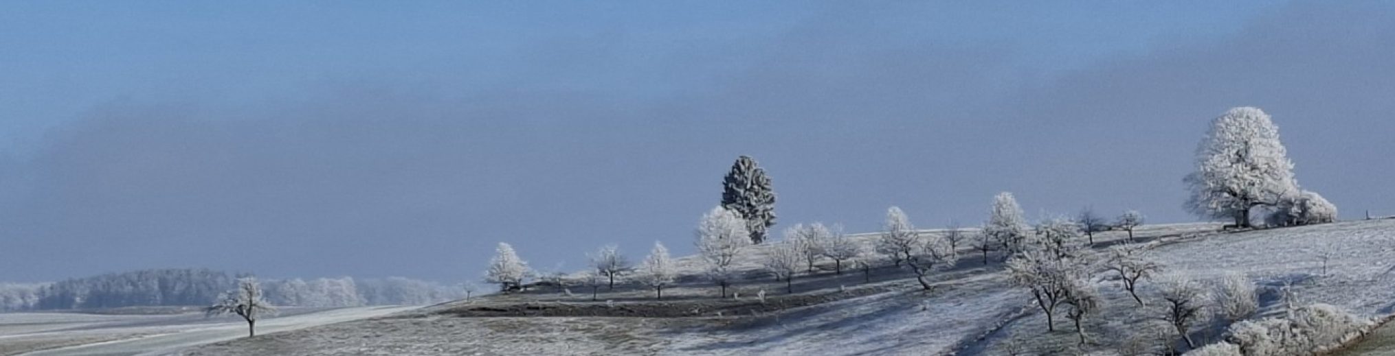 Schwäbischer Albverein | Ortsgruppe Bernstadt