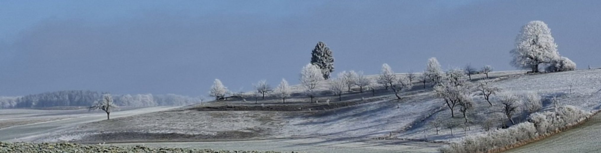 Schwäbischer Albverein | Ortsgruppe Bernstadt