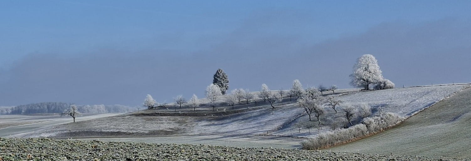Schwäbischer Albverein | Ortsgruppe Bernstadt
